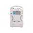PP-222URBT Portable Wireless PA Amplifier with Recorder and Bluetooth